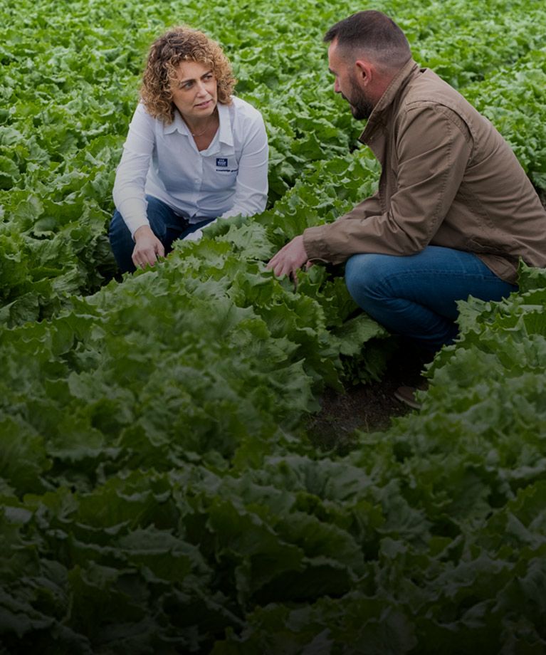 Veg growers