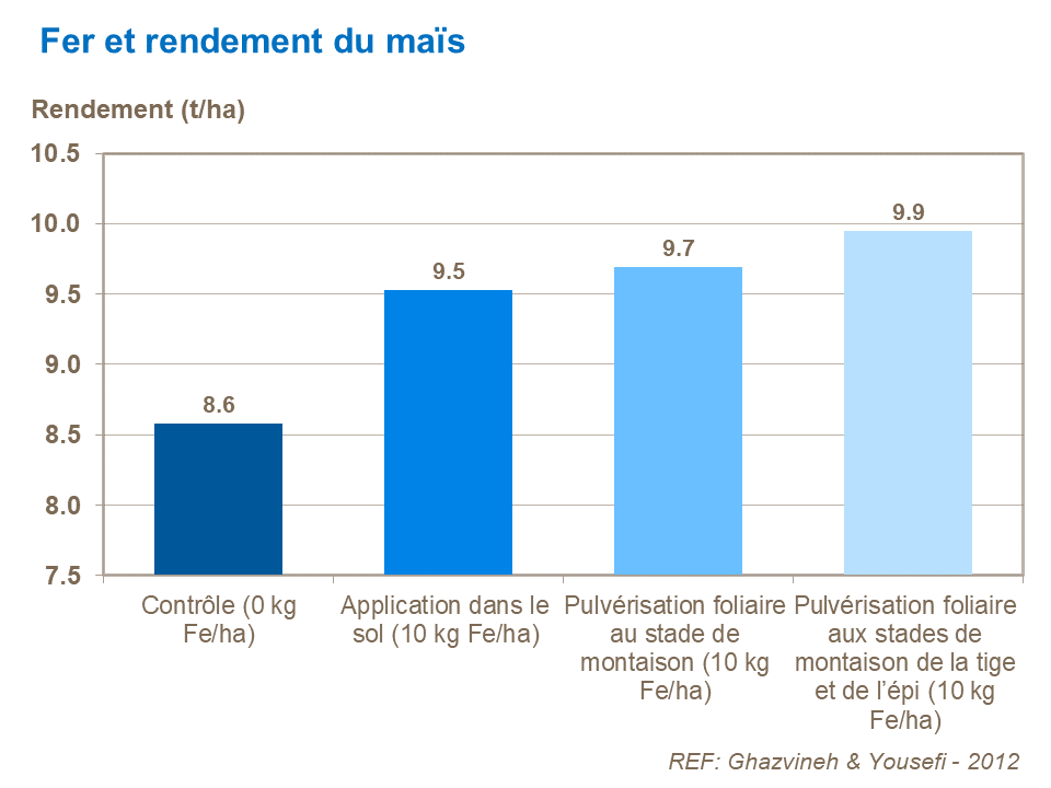 FR - Fe and corn yield.png