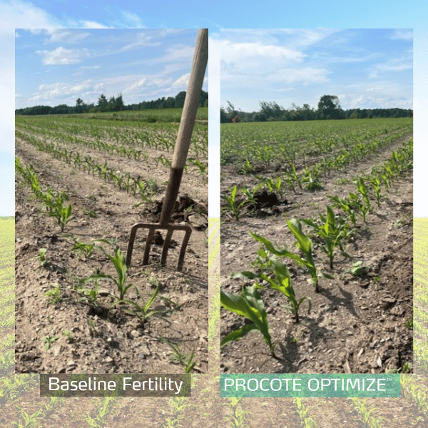 procote optimize trial in corn