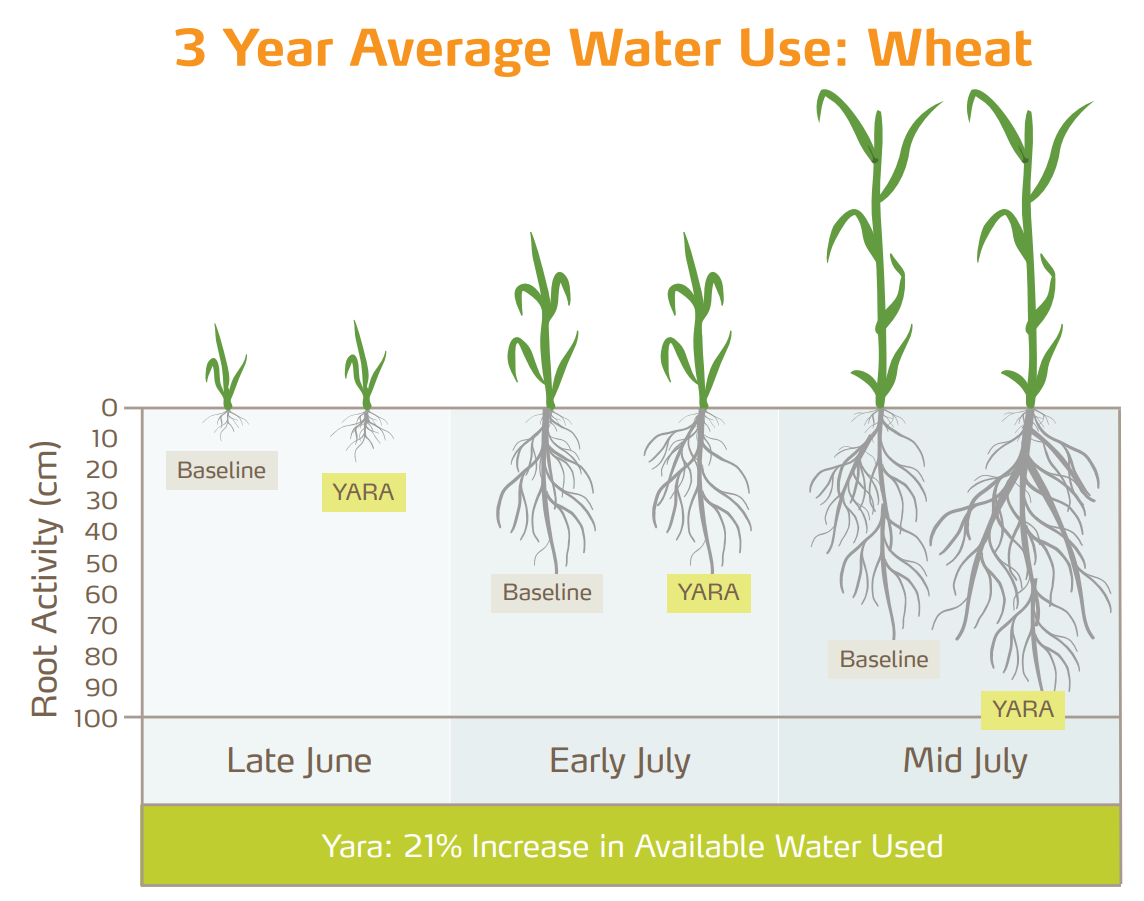 3 year average of water use in wheat graph