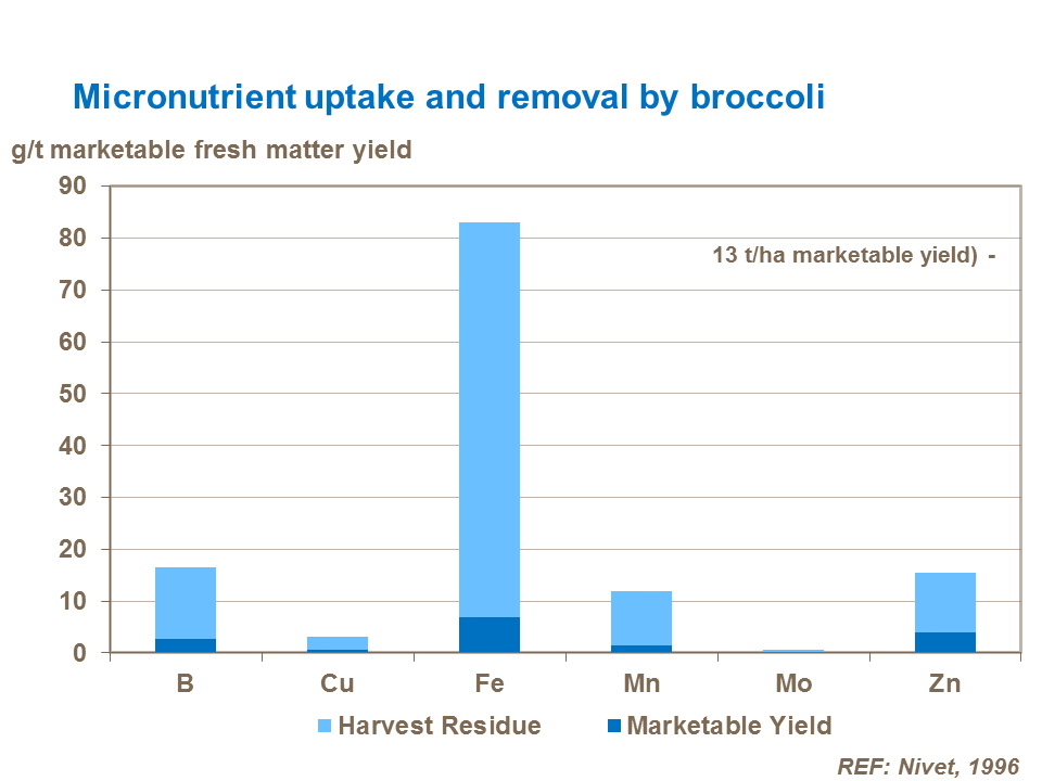 Micronutrient Update and Removal by Broccoli