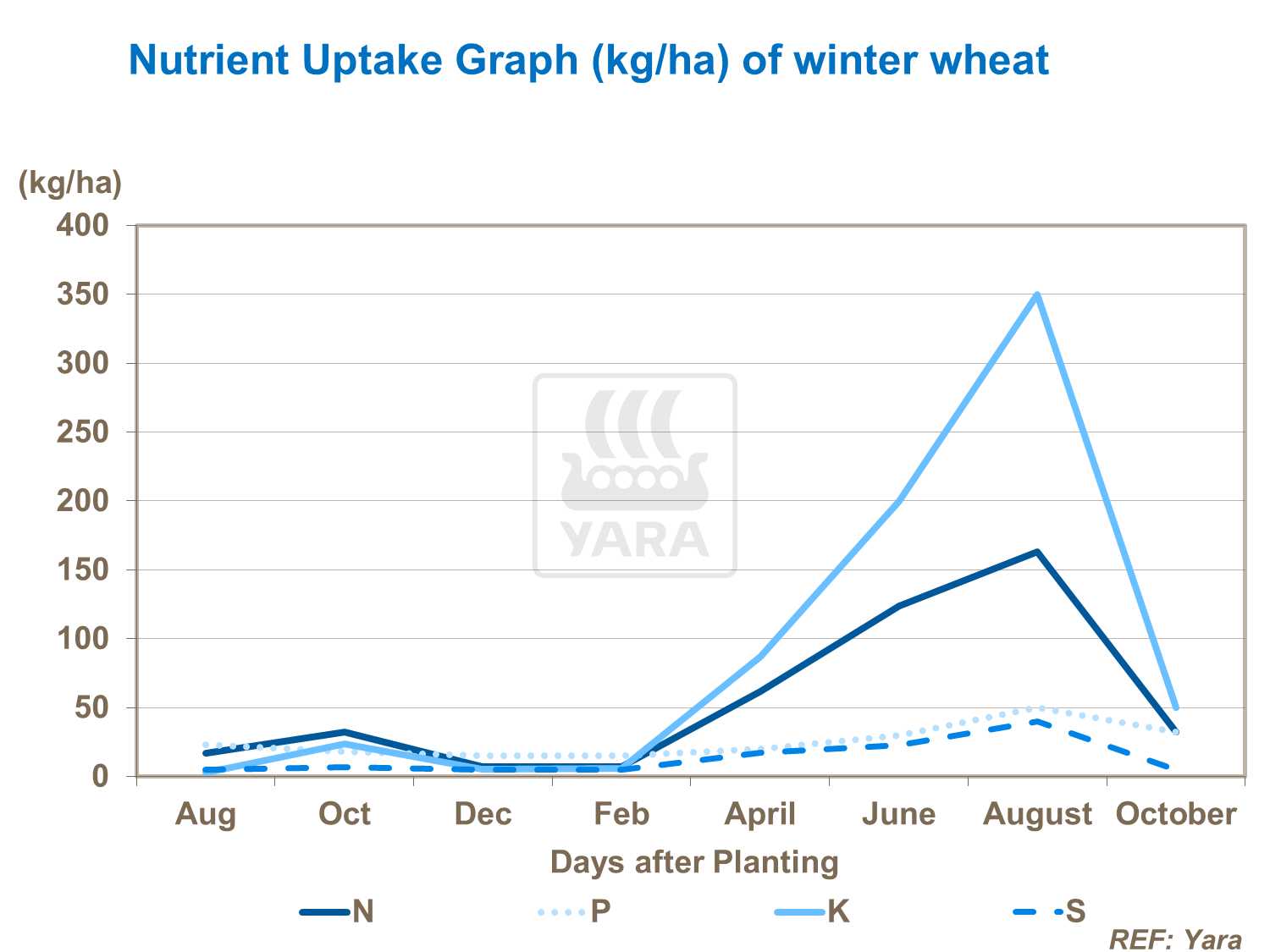 Nutrient uptake graph of winter wheat