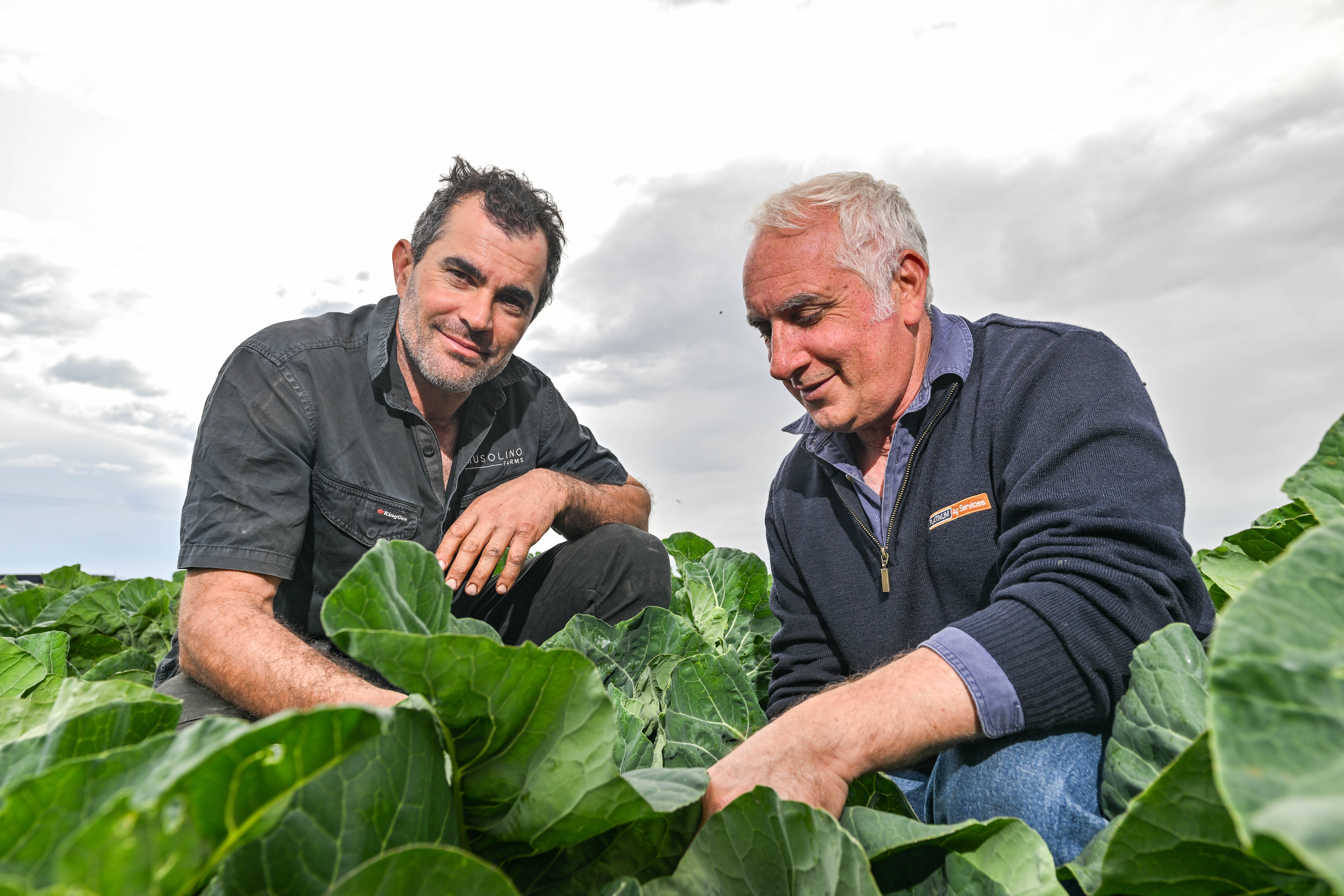 •	Paul Musolino and Platinum Ag Senior Agronomist, Paul Pezzaniti