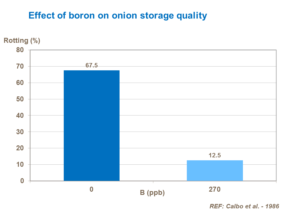effect-of-boron-on-onion-storage-quality.png