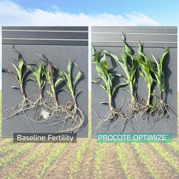 procote optimize trial in corn