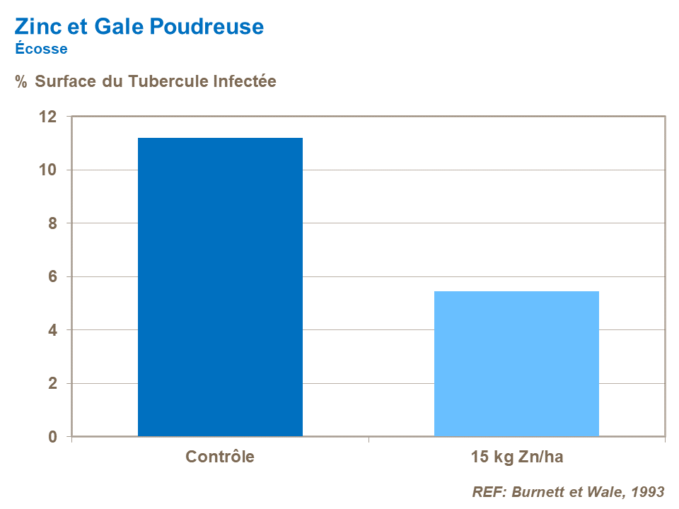 skin finish_zinc and powedery scab.png