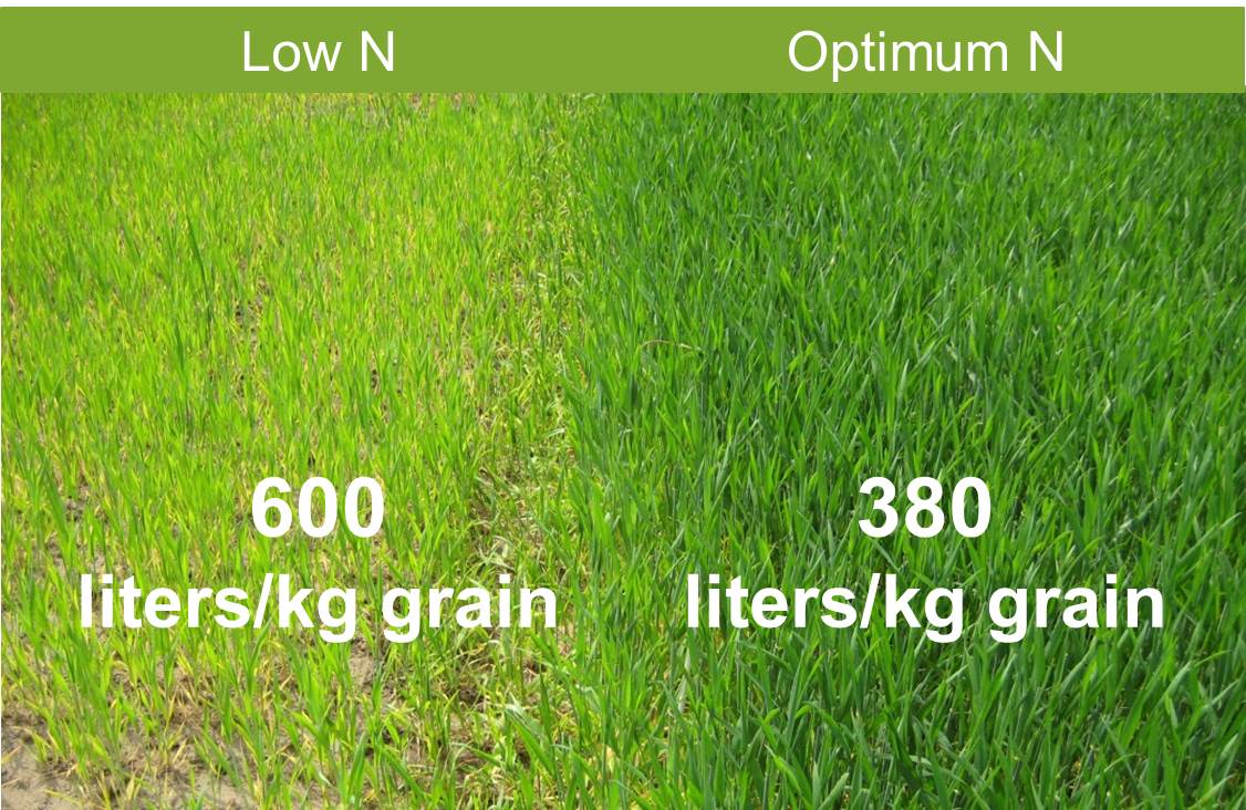 Reduce water use by using optimum N