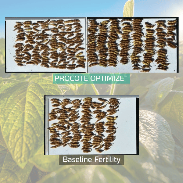 procote optimize trial in soybean