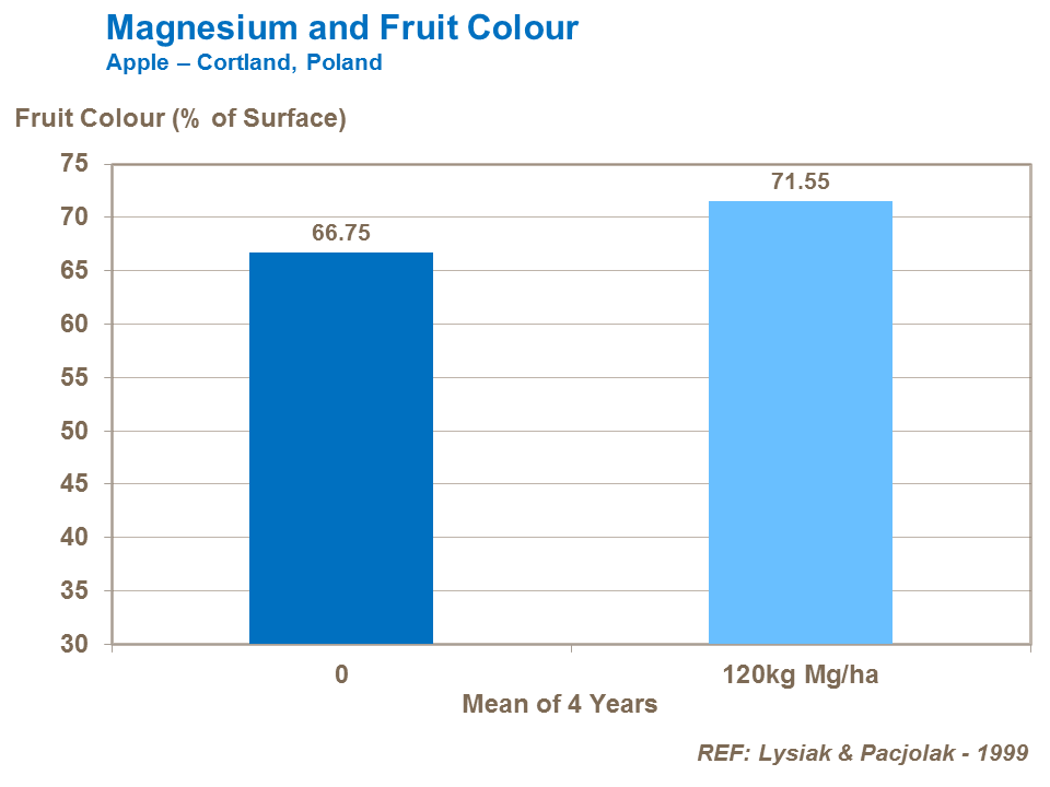 Magnesium and fruit colour apple