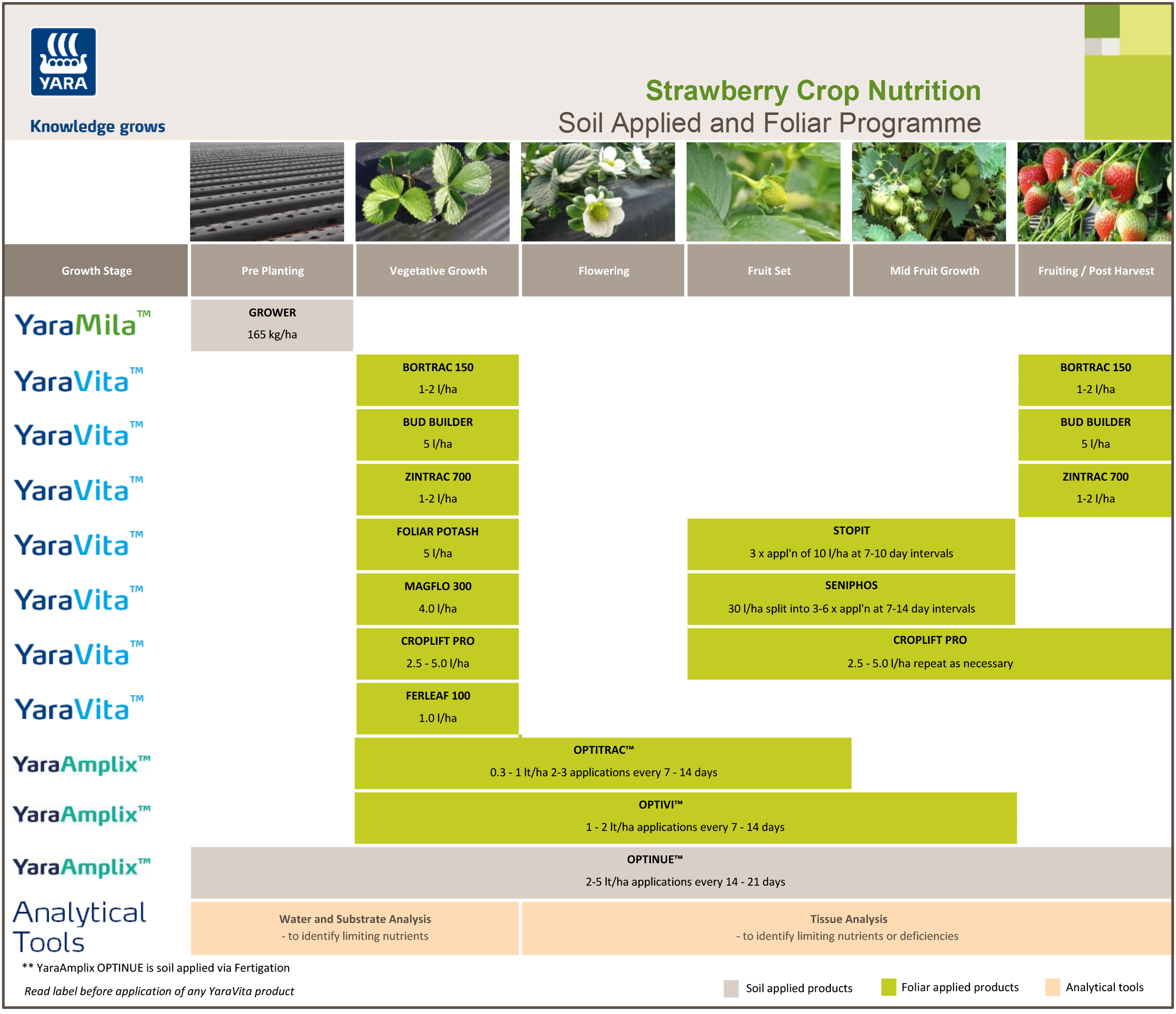 Strawberry fertiliser programme