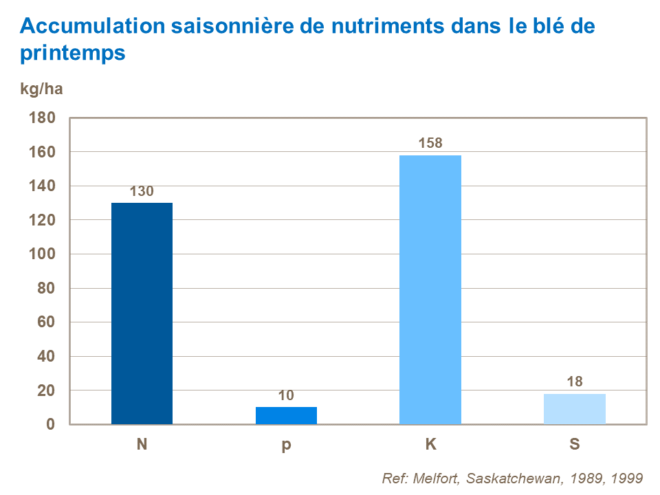 FR - seasonal nutrient accumulation in wheat.png