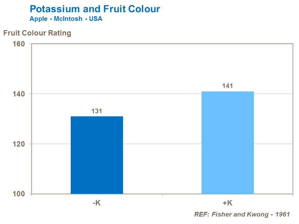 Potassium and fruit colour apple