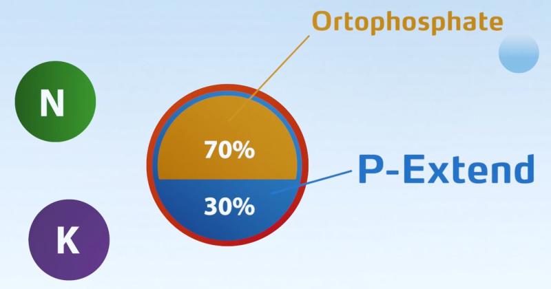 Pex