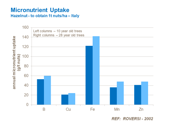 micro graph last.png