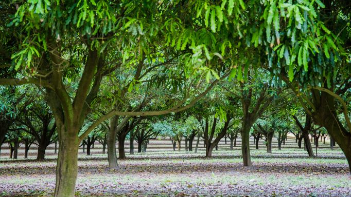 shutterstock_680764303 RESIZE WEB.jpg