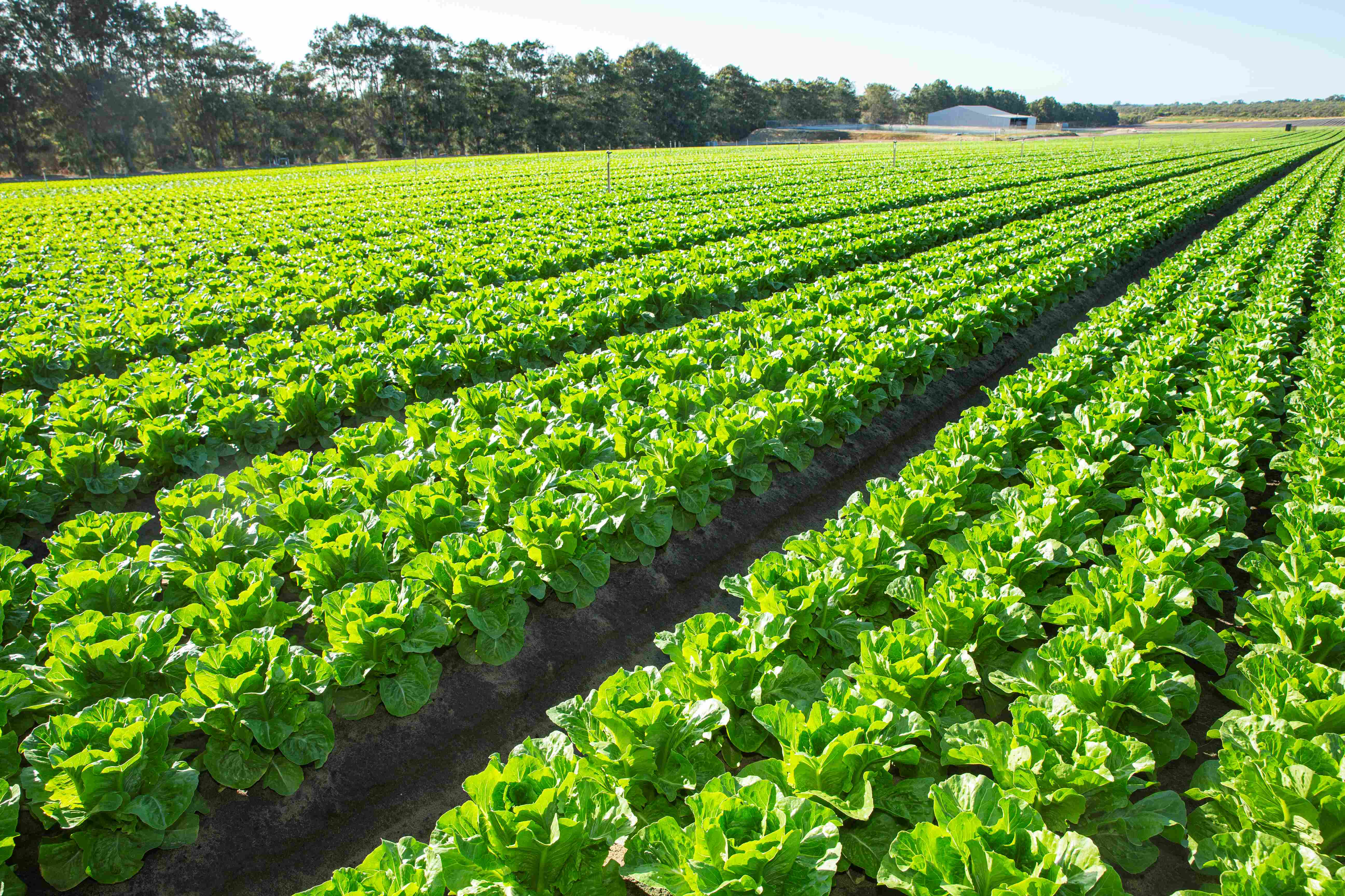 100323JWL120 RESIZE WEB.jpg