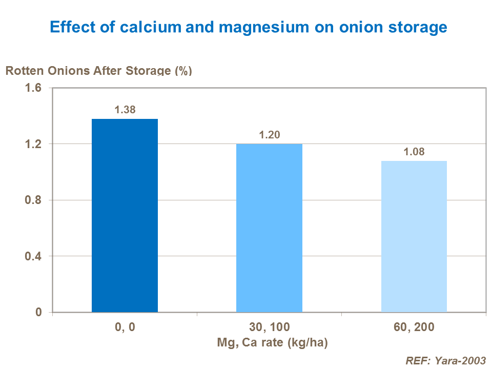 effect-of-calcium-and-magnesium-on-onion-storage.png