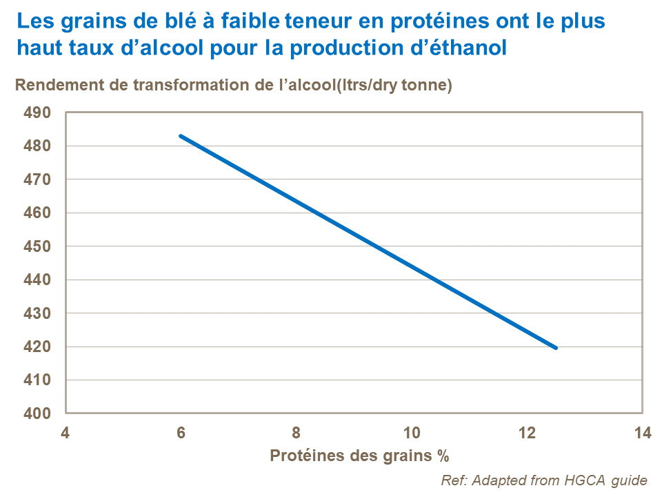 FR - grain protein and alcohol yield for ethanol.png