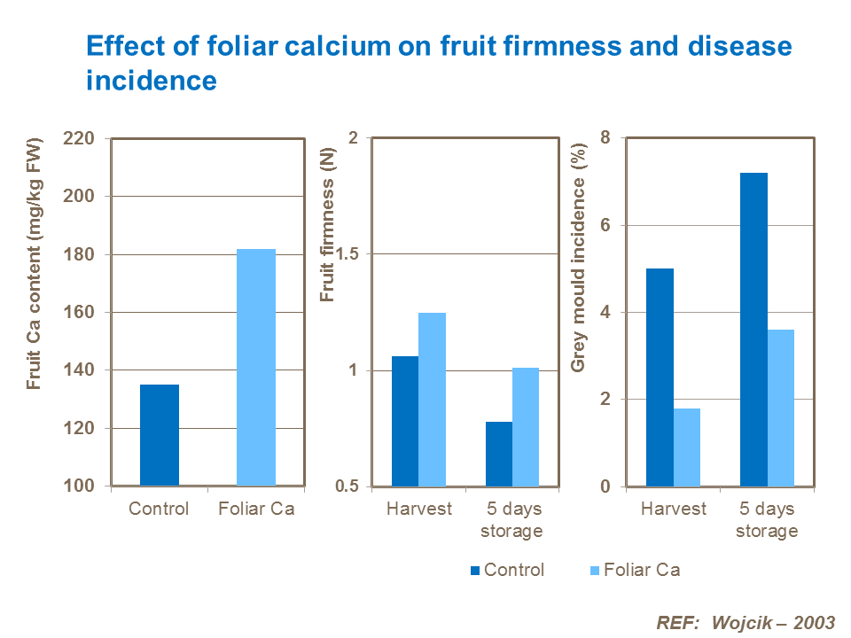 Effect of foliar calcium on fruit firmness and disease incidence