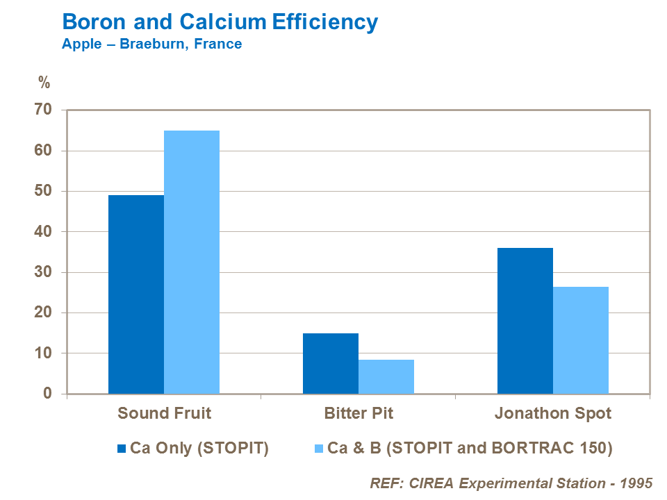 Boron and Calcium Efficiency