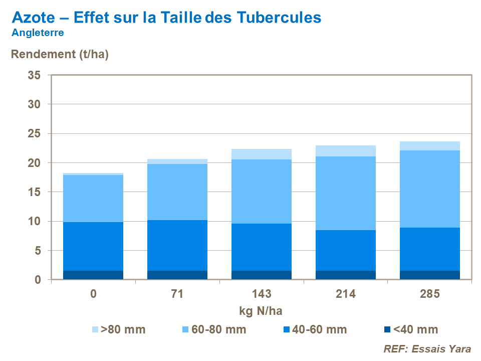 FR-nitrogen effect on tuber size.png