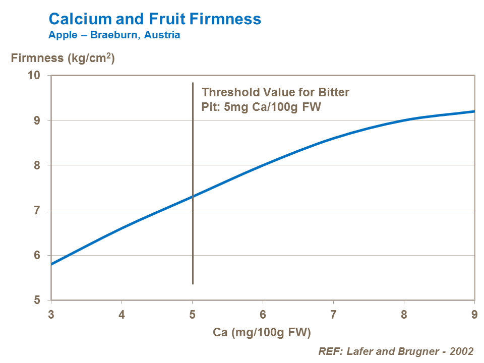 Calcium and fruit firmness apple