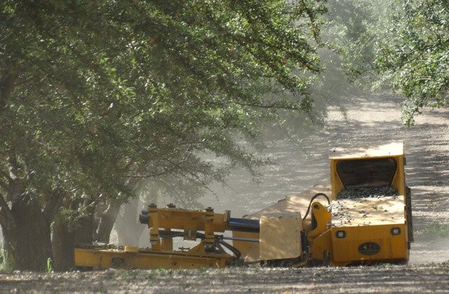 Post harvest pic1.jpg