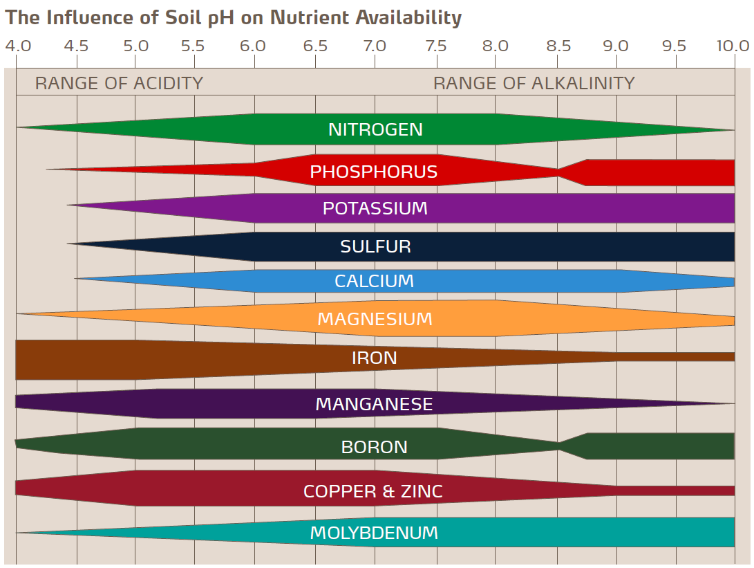 soil-ph-and-nutrient-availability.png