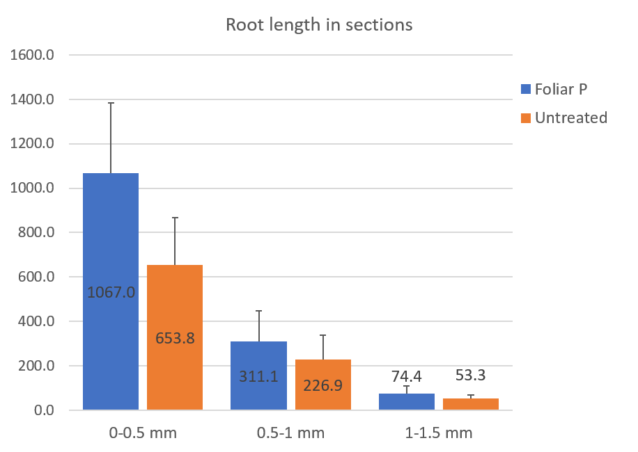 Root lengths in sections.png