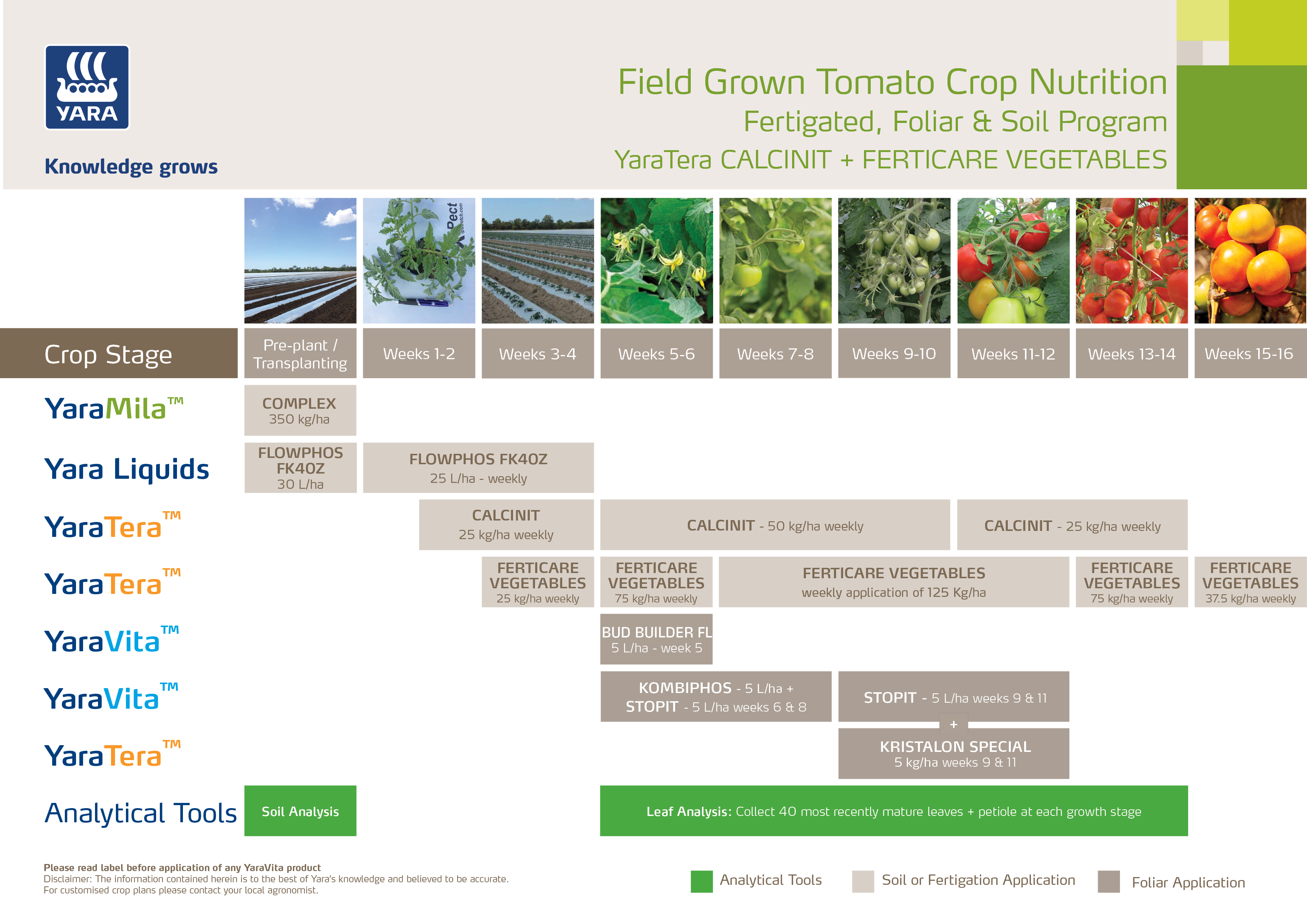 Field grown Tomato crop program (Calcinit + Ferticare Vegetables).png